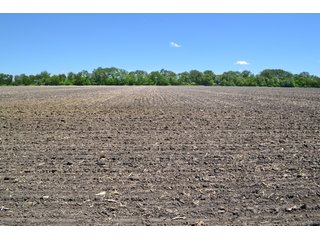 Property photo 31 - MAJOR ILLINOIS LAND AUCTION - 752.54+/- ACRES OFFERED IN 9 TRACTS IN KANKAKEE COUNTY, ILLINOIS
